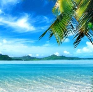 Meet your Posher, Phil